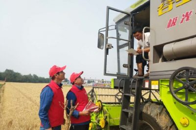 河北電力簡訊：芒種忙忙割，農家樂啟鐮