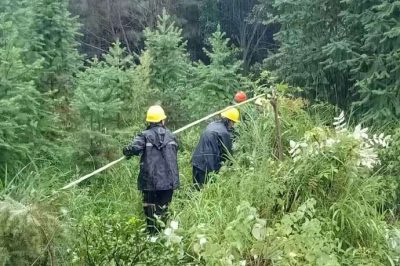 過泥濘，涉洪水，穿山谷，冒雨巡線護電，第一時間處理災情險情