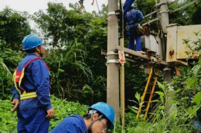 漢中供電公司排查轄區內的變電站、輸電線路、供電設施