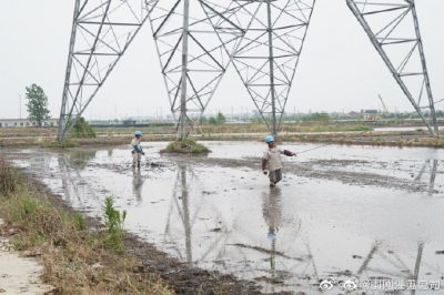架設線路、安裝電纜引下線，解決農民秸稈焚燒問題