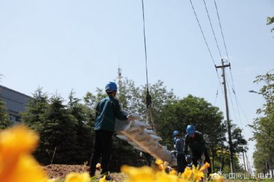 110千伏石虎站10千伏南潘線招辛線雙回架設施工現場