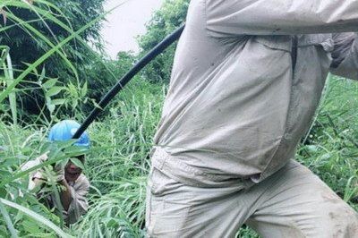 南川區供電公司緊急搶修被雷擊斷落在路上的10千伏鋒秧線8-10號桿A、C相