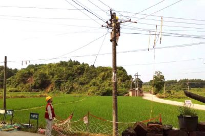 茶陵供電公司在400伏I回主線03-1號桿調整低壓線路弧垂