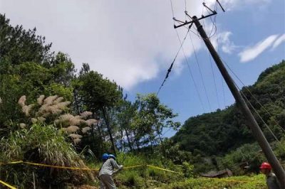 麻家渡供電所對轄區10kV寶63牌樓線進行巡視