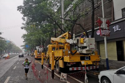 10千伏大寨線并組織開展帶電作業