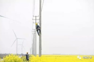 14億人全民通電如何做到的？18根電桿為1戶供電，100年無法回本