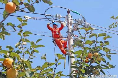 東臺市供電公司改造10千伏唐聯線61號桿以下線路
