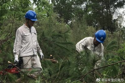 綦南供電公司對供電轄區10千伏壩扶線電力通道進行樹障砍伐清理