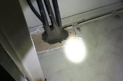 小動物，變電站非請勿來
