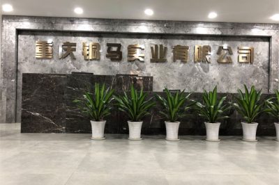 重慶有多少電廠？