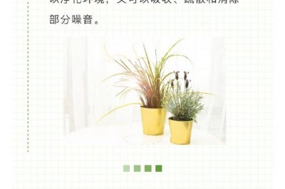 家里冰箱洗衣機噪音越來越大？讓它們安靜下來很簡單！