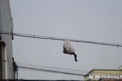 你的隨手一“拋”，可能導致跳閘停電！