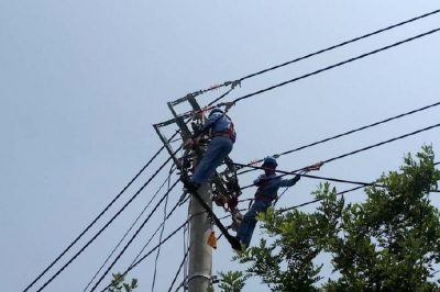 電網線路改造忙，迎峰度夏有保障