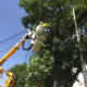 國家電網拍了拍高考生：放心去考試，供電沒問題～