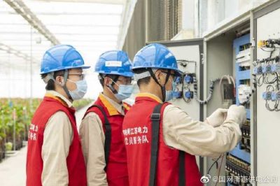 為大棚電力線路、電氣化設備進行縝密排查和整改消缺