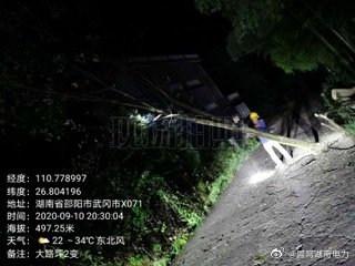 大路坪供電所人員處置倒樹保證用電