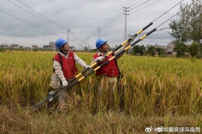 到10千伏五港鎮114支線45號桿緊固拉線螺栓