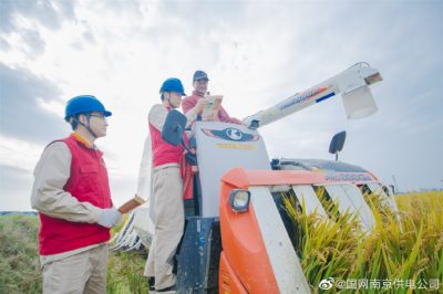 來到南京溧水和鳳鎮吳家橋村稻田間為農戶檢查用電線路