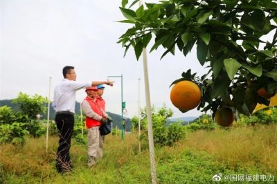 助農增收 金秋助農上門服務