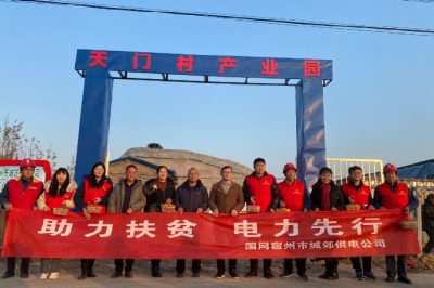 電力先行 幫助果農檢查線路
